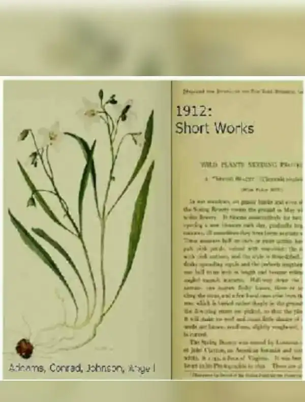 1912: Short Works Collection