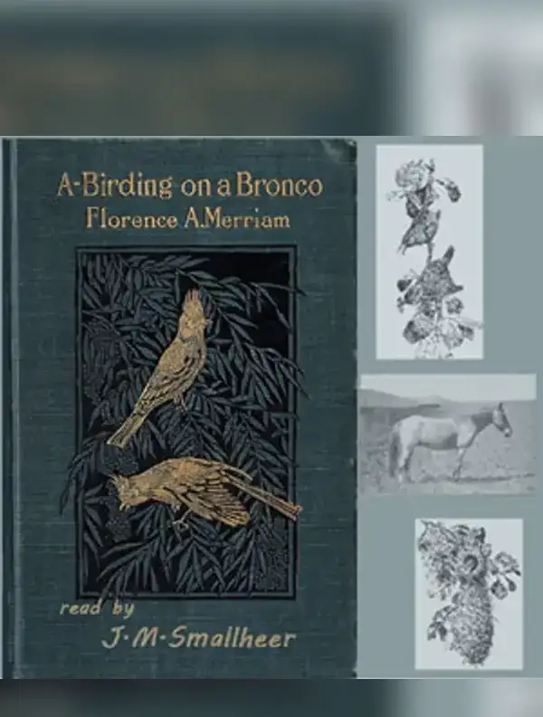 A-Birding on a Bronco