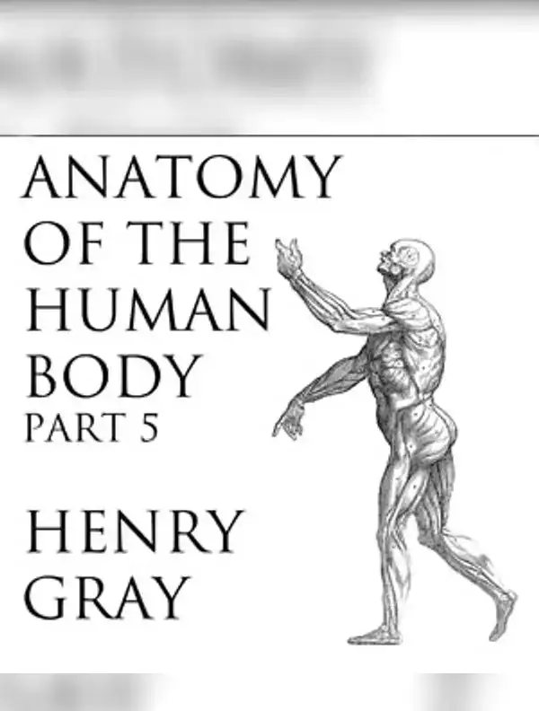 Anatomy of the Human Body