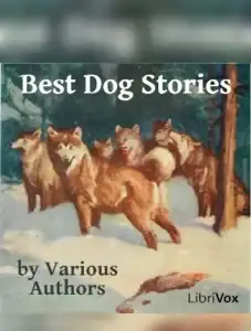 Best Dog Stories