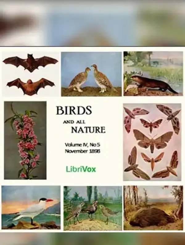 Birds and All Nature