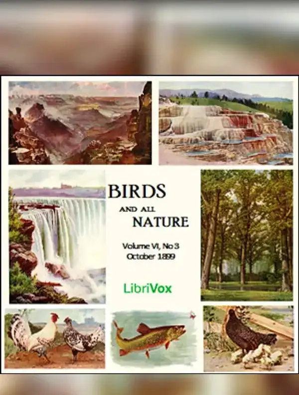 Birds and All Nature