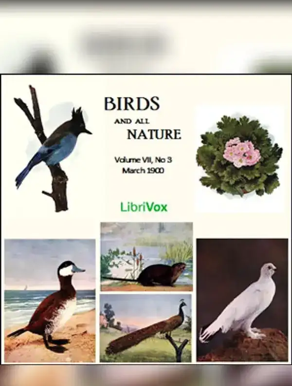 Birds and All Nature