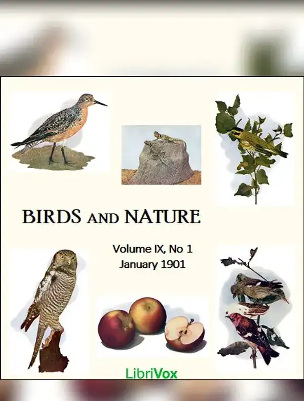 Birds and Nature