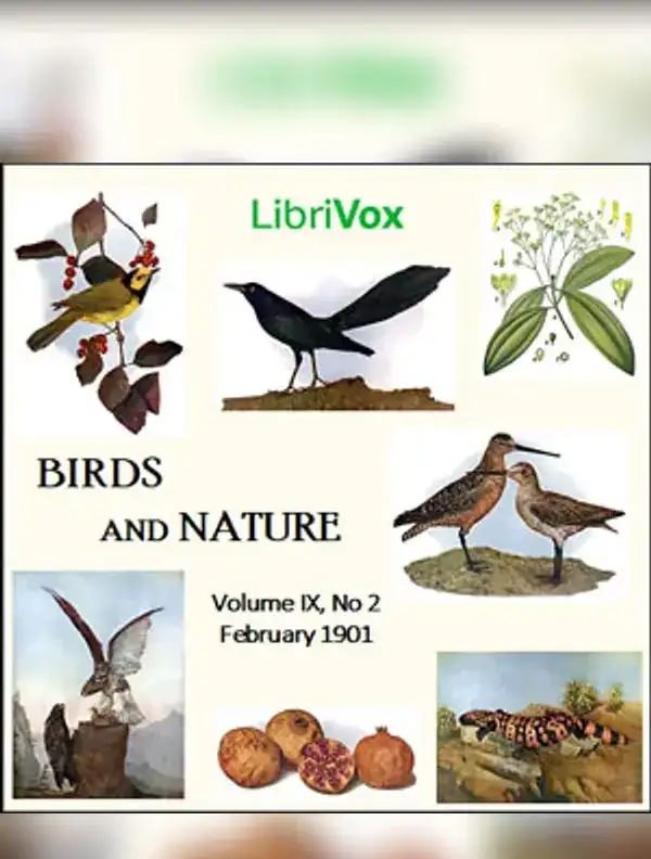 Birds and Nature