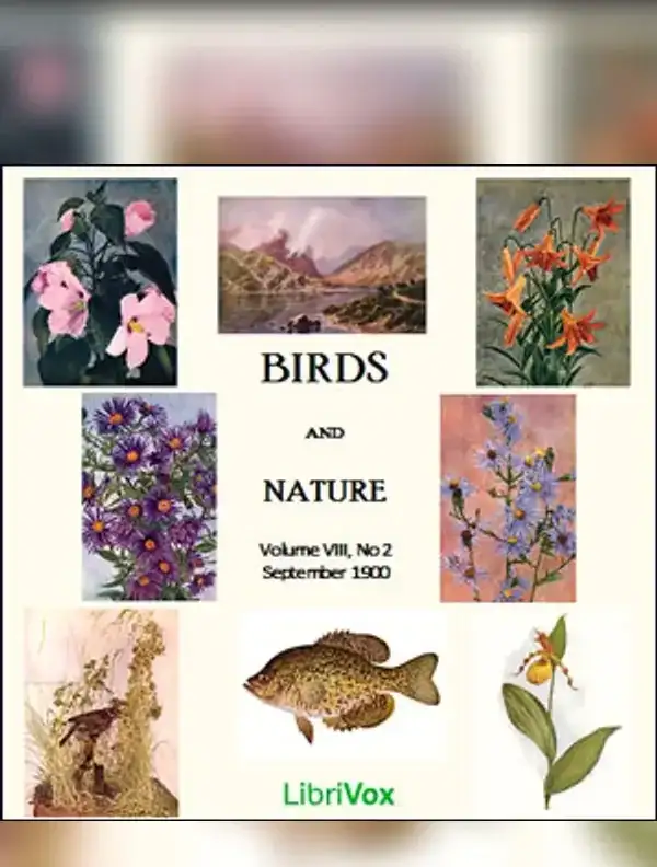 Birds and Nature