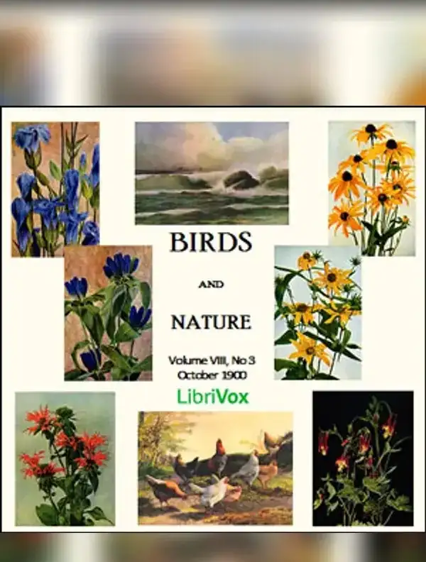 Birds and Nature
