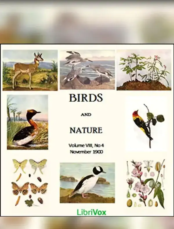 Birds and Nature