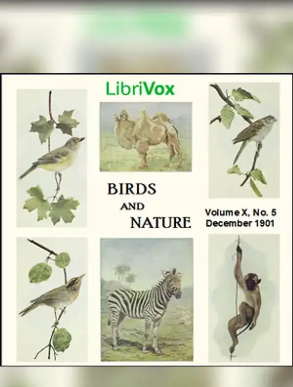 Birds and Nature
