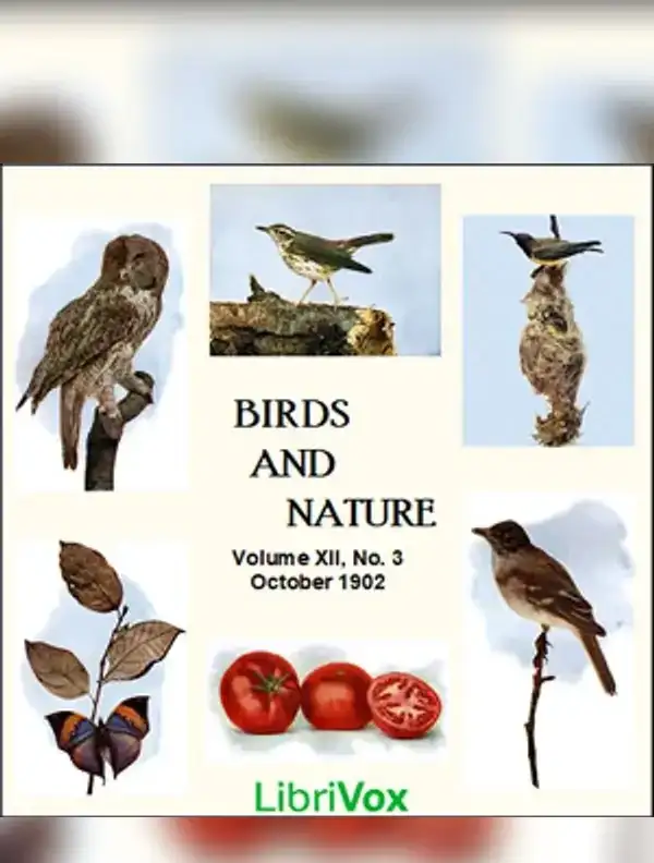 Birds and Nature