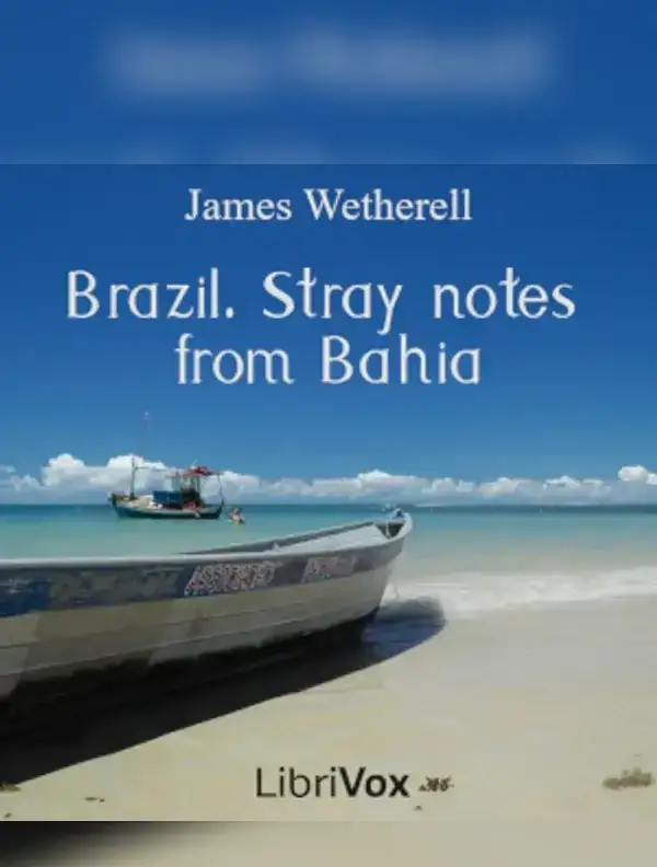 Brazil. Stray notes from Bahia