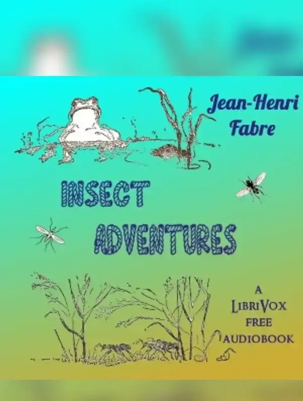 Insect Adventures