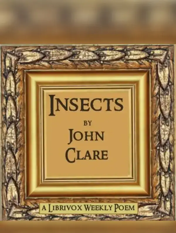 Insects