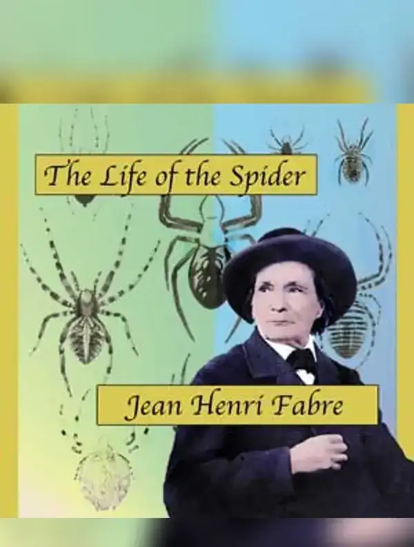 Life of the Spider