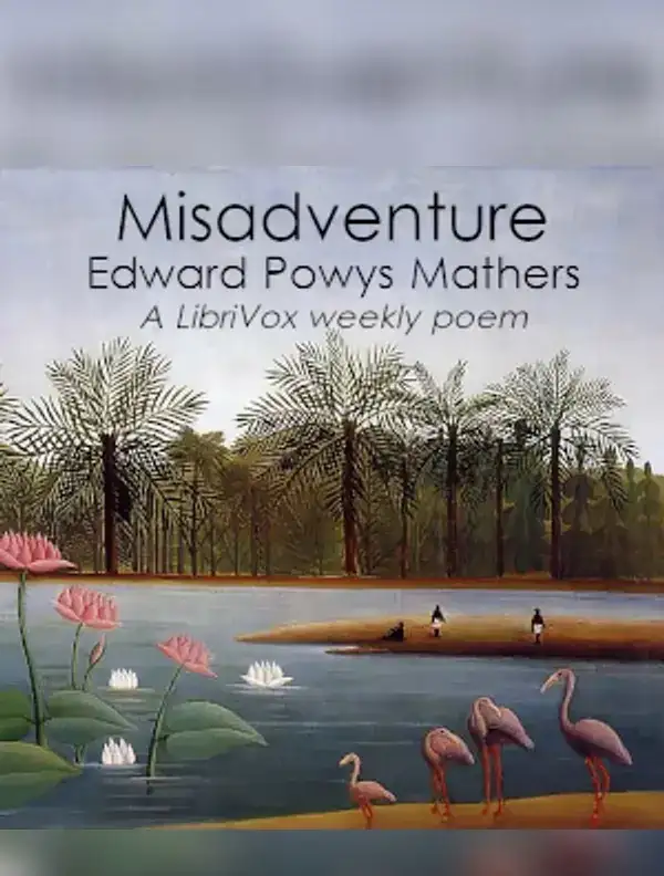 Misadventure