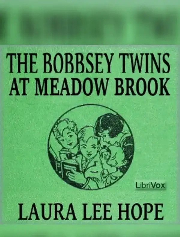 The Bobbsey Twins at Meadow Brook