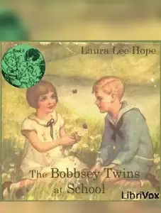 The Bobbsey Twins at School