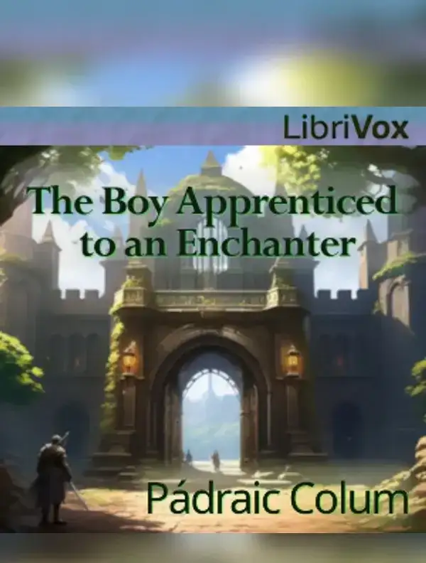 The Boy Apprenticed to an Enchanter