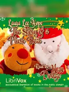 The Story of a Plush Bear