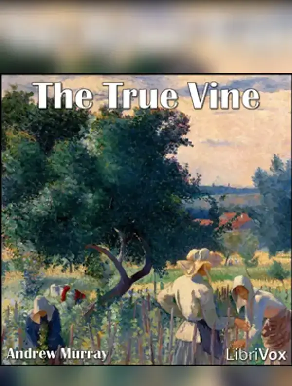 The True Vine