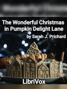 The Wonderful Christmas in Pumpkin Delight Lane