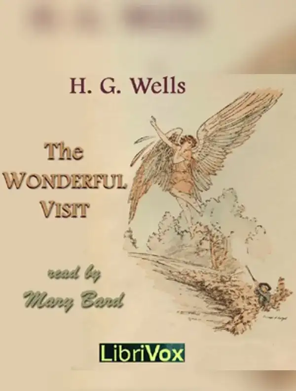 The Wonderful Visit