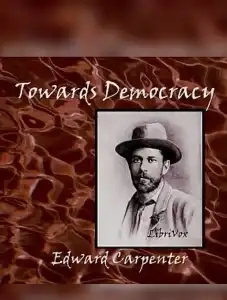Towards Democracy