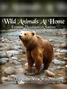 Wild Animals At Home