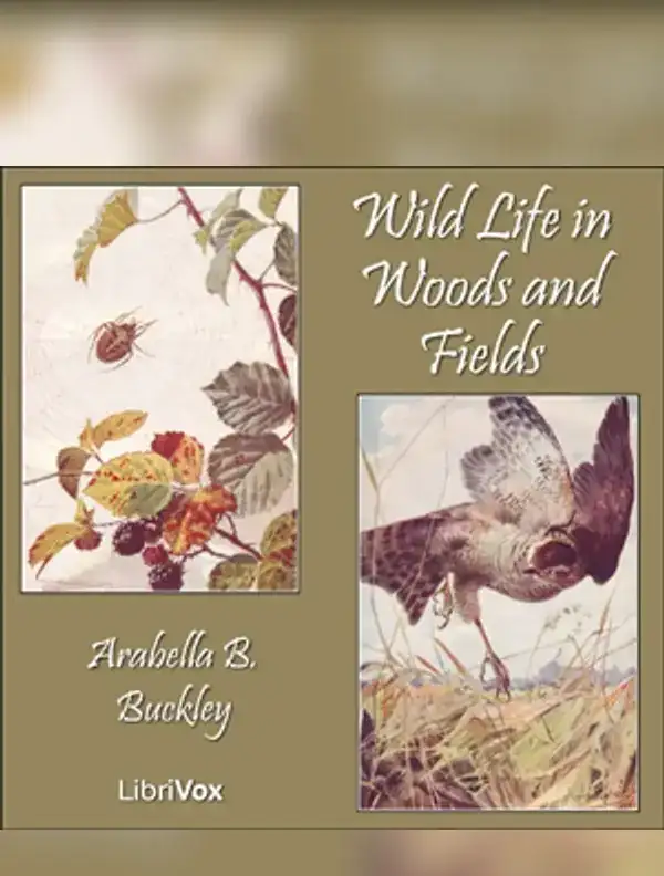 Wild Life in Woods and Fields