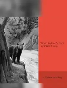 Wood Folk at School