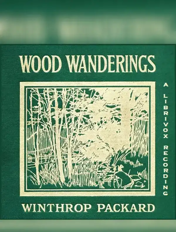 Wood Wanderings